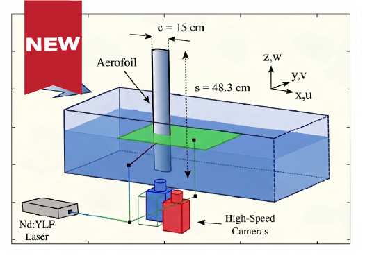 Low‑Frequency Dipole Noise Mechanisms in Stalled Aerofoil